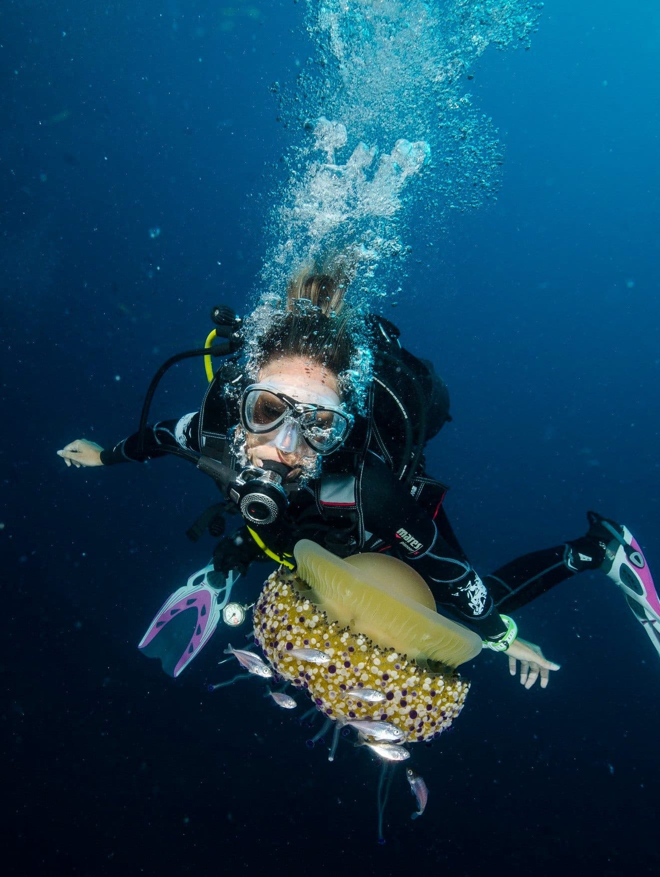 Subacquea con attrezzatura Mares accanto a una medusa