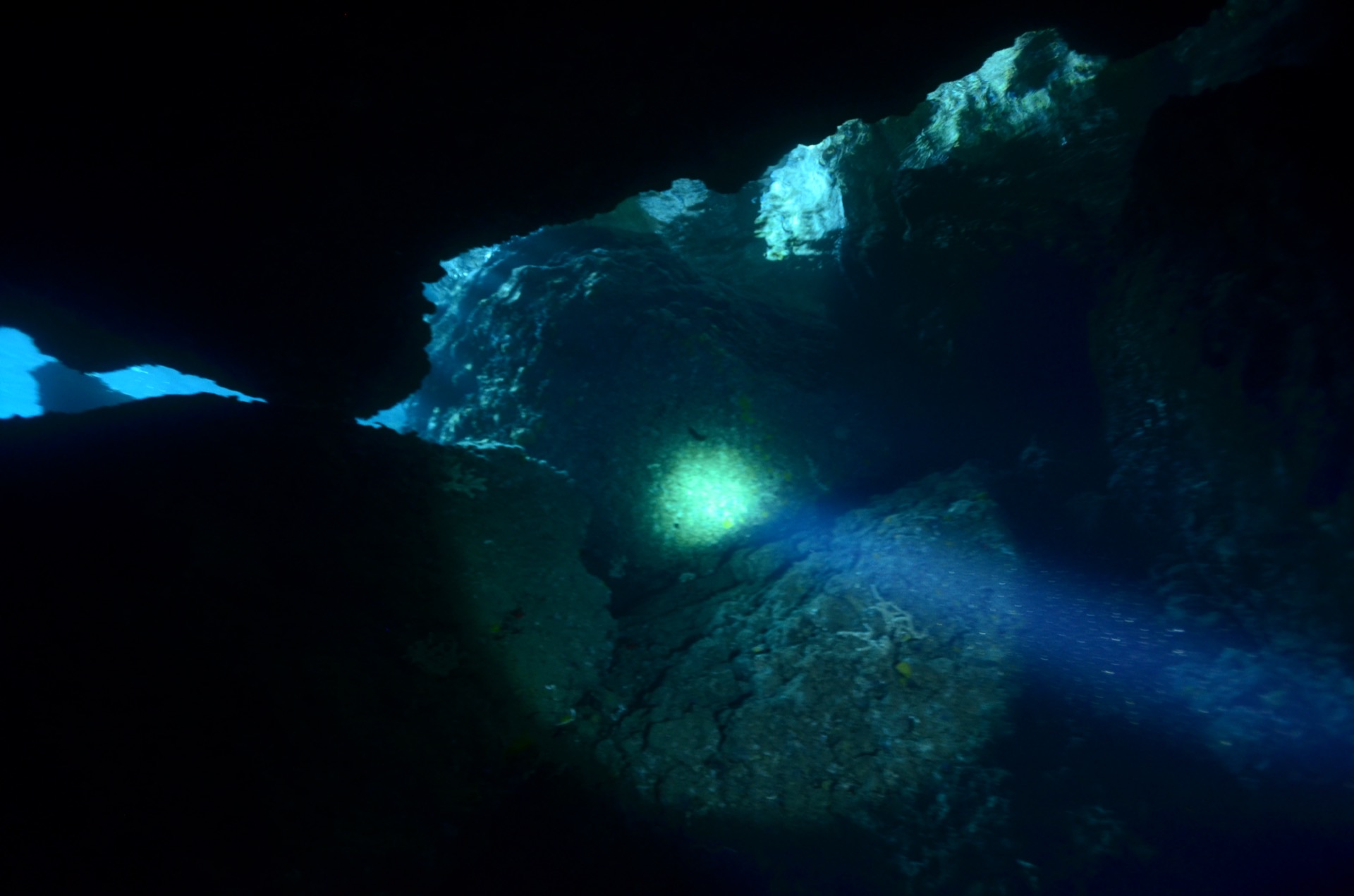 Un subacqueo con la torcia illumina una grotta sommersa a Ustica